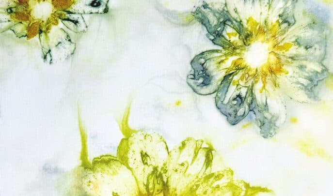 Faszination Ecoprinting – Anita Bussaglia